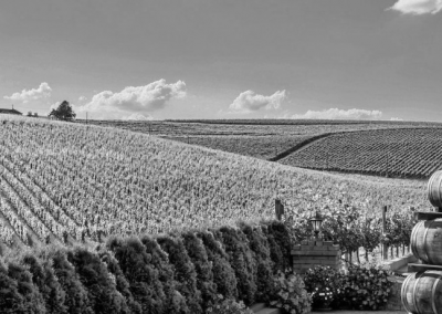 THE FRENCH CELLAR